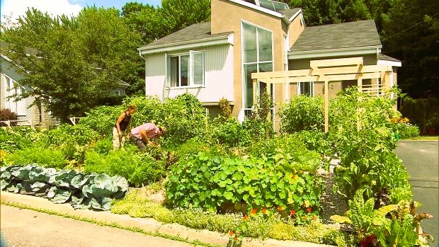 Transforming a Backyard in Quebec